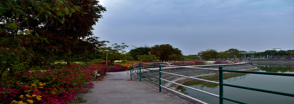 Lake View at a glance inside the JUET Campus